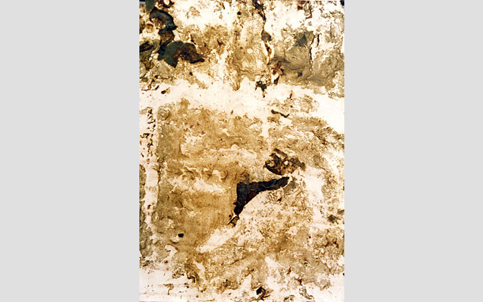 Mould Paintings | Painting 1, 1995